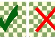 8 Steps to Set Up a Chessboard Correctly